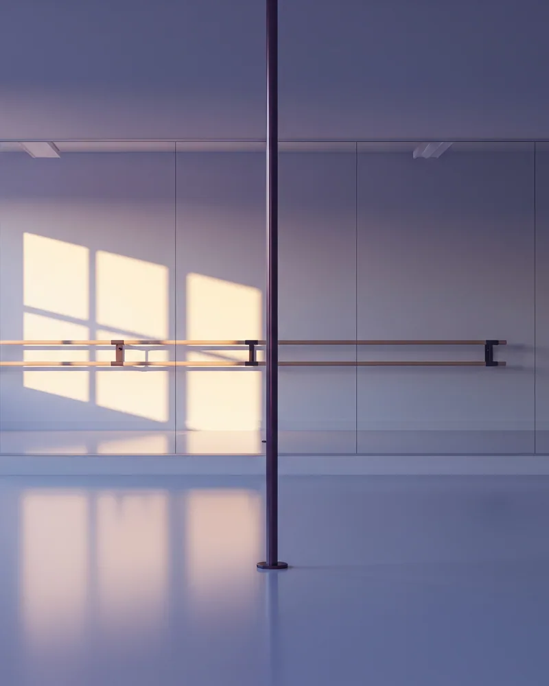 Attitude Pole Fitness Southport — illustration