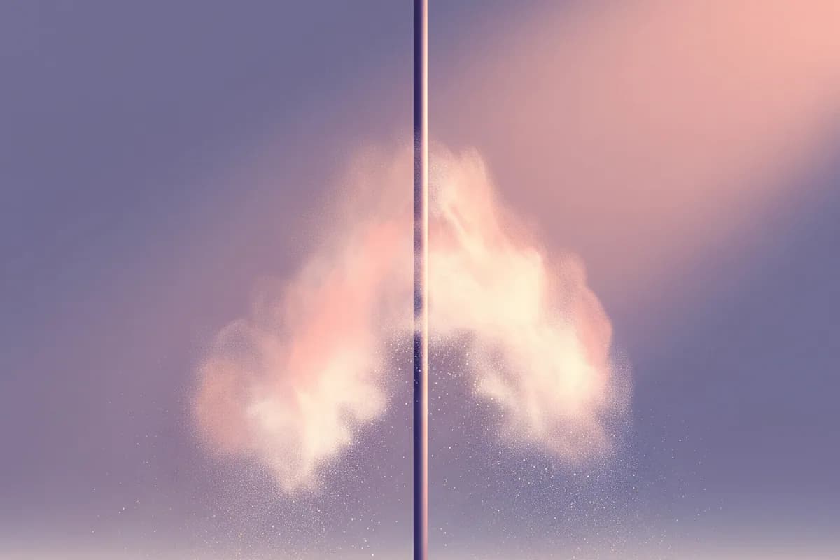 The Pole Studio — illustration
