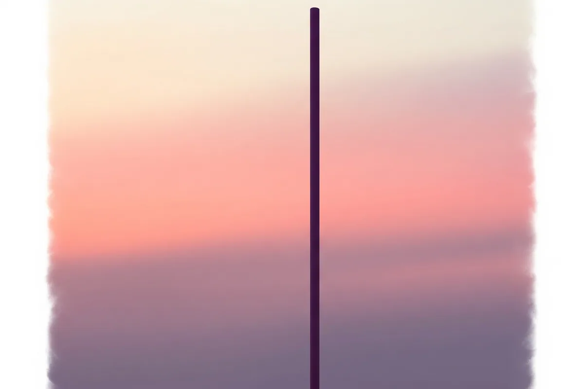 The Pole Studio — illustration